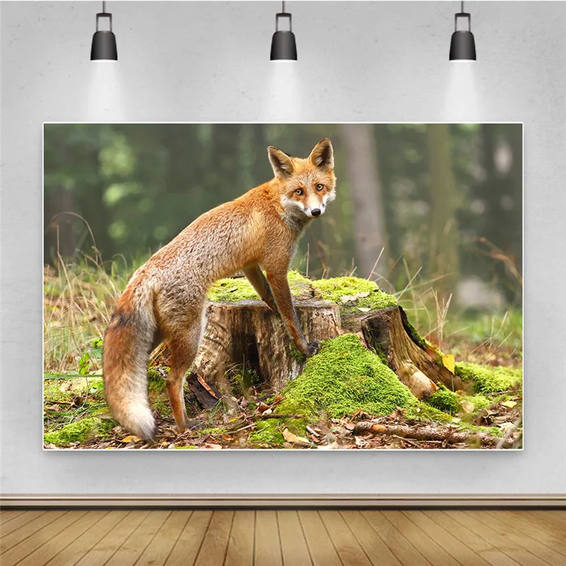 

Fox Printed Photography Backdrops Photo Animals Background Thin Vinyl Lovely Festival Birthday Decor for Photos Studio