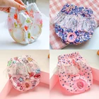 Физиологические штаны для щенков, для маленьких собак, женские менструальные штаны для питомцев, для чихуахуа, Йорка