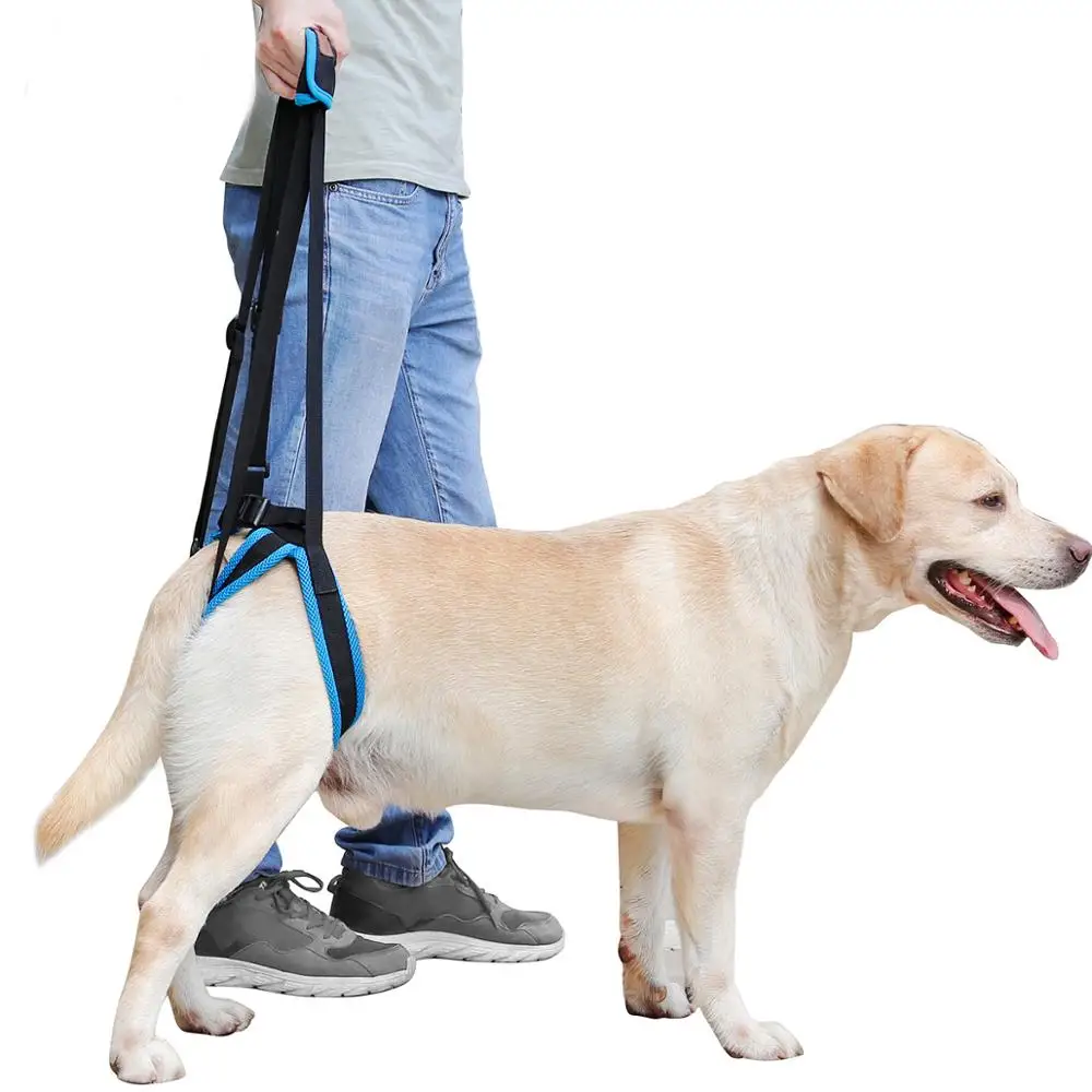 

Dog Lift Harness for Back Legs Adjustable, Lifting Harness for Hind Legs to Help Weak Legs Standing Aid Assist Harness