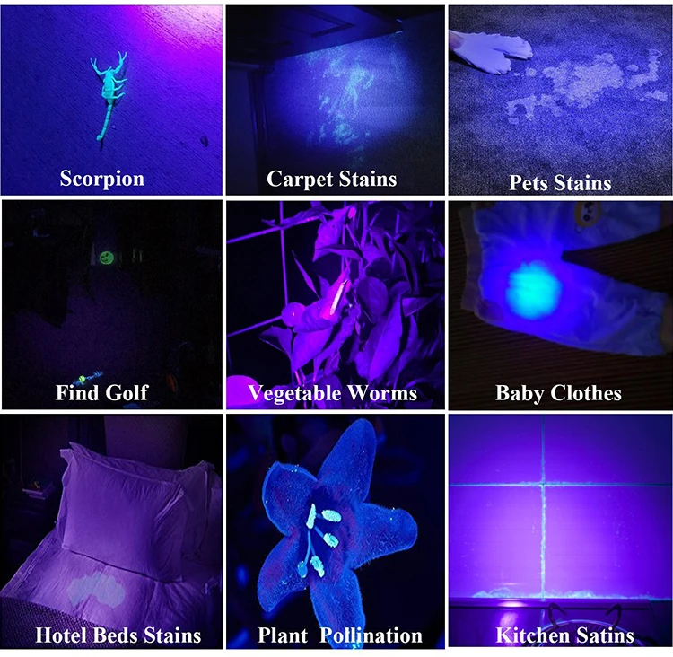 

100 LEDs UV Flashlight 395nm Violet Ultra Hand Light UV Blacklight Flashlight UV LED Torch for For Detection ,Bed Bugs,Scorpions