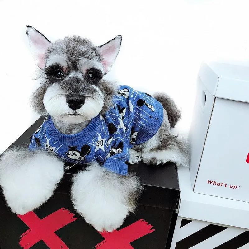 Модная брендовая одежда для домашних животных собак кошек щенков плюшевого