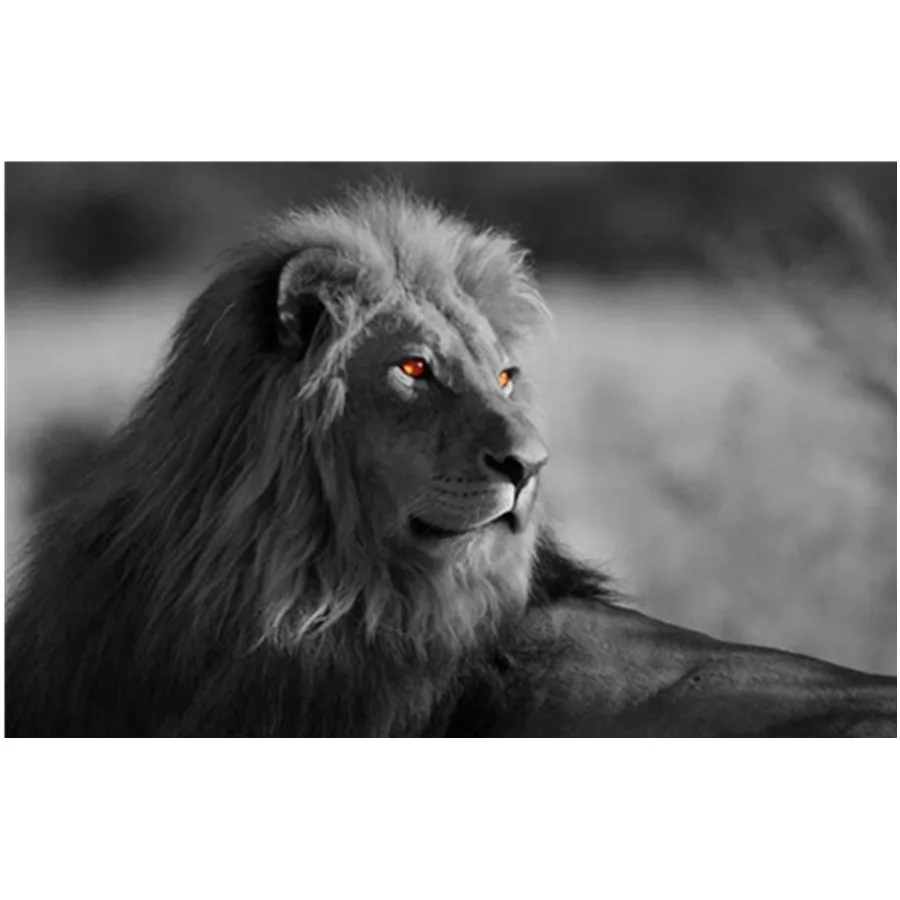 

Черно-белая фотография стены с животными Лев Слон Олень Зебра настенные картины для гостиной минималистская любовь