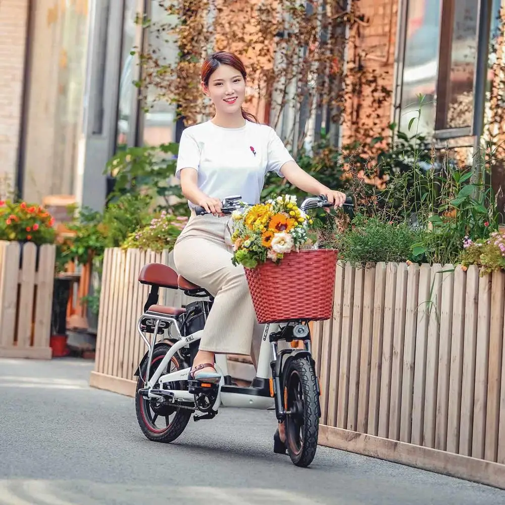 

HIMO C16 electric bicycle 16inch urban electric bicycle 48V lithium battery 250W motor parent-child electric ebike