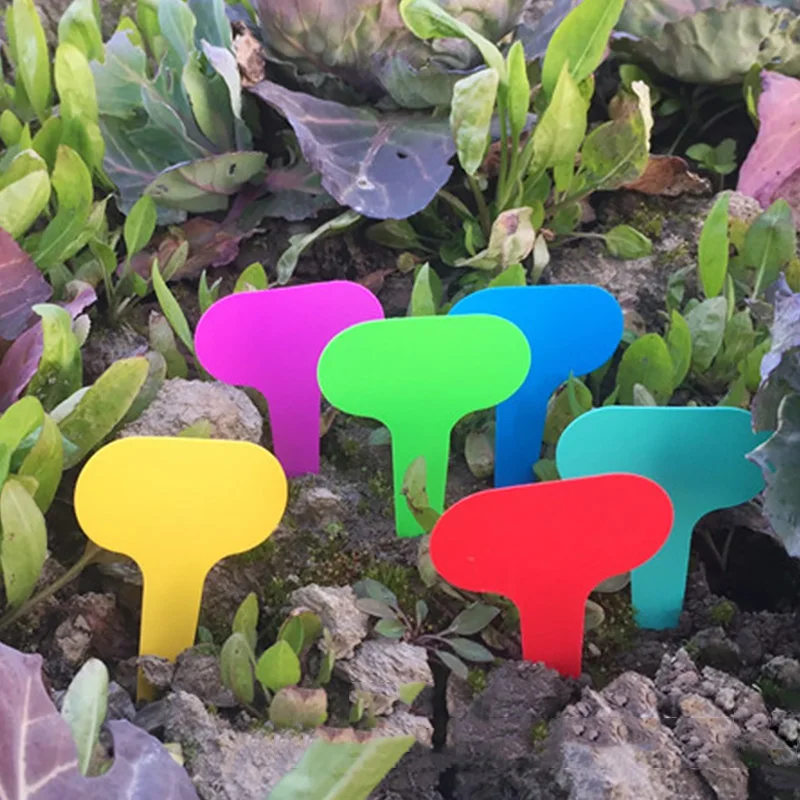 

50Pcs Plant Flowers Label Ground Card T-type Plastic Nursery Garden Frosted Sign Reusable Fruit Vegetable Seedling Tag