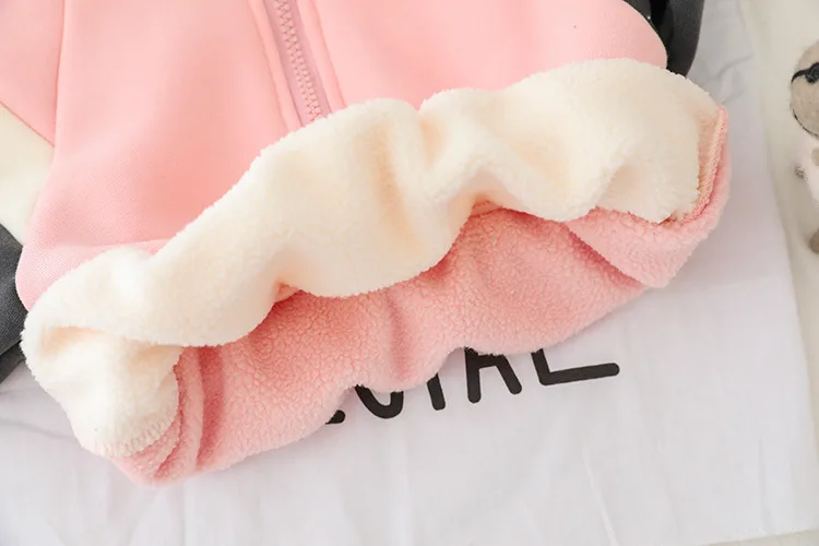 Детский спортивный костюм из двух предметов на осень/зиму|Комплекты одежды для