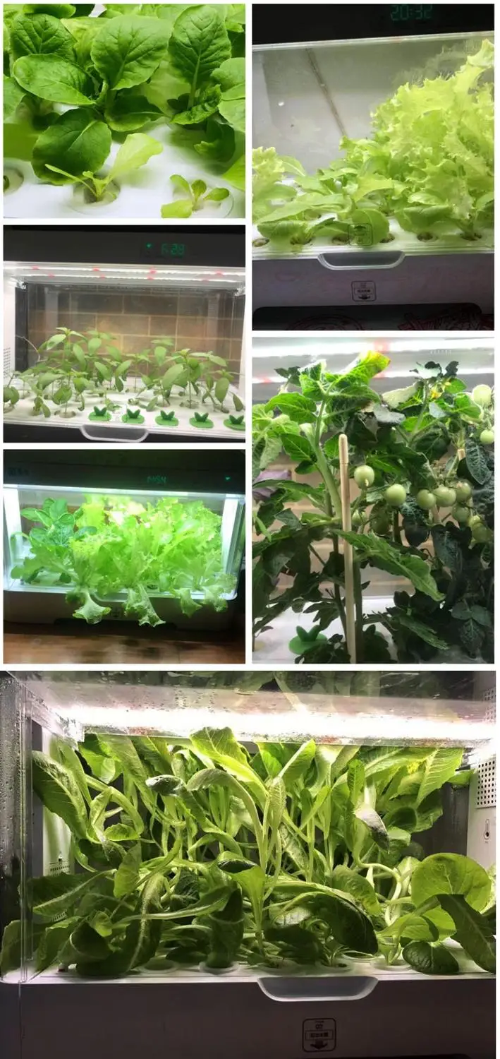 Интеллигентая (ый) гидропоники овощей посадки цветочных горшков оборудование