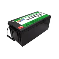 lifepo4 batterie lithium 12v 200ah battery pack for solar system rv marine