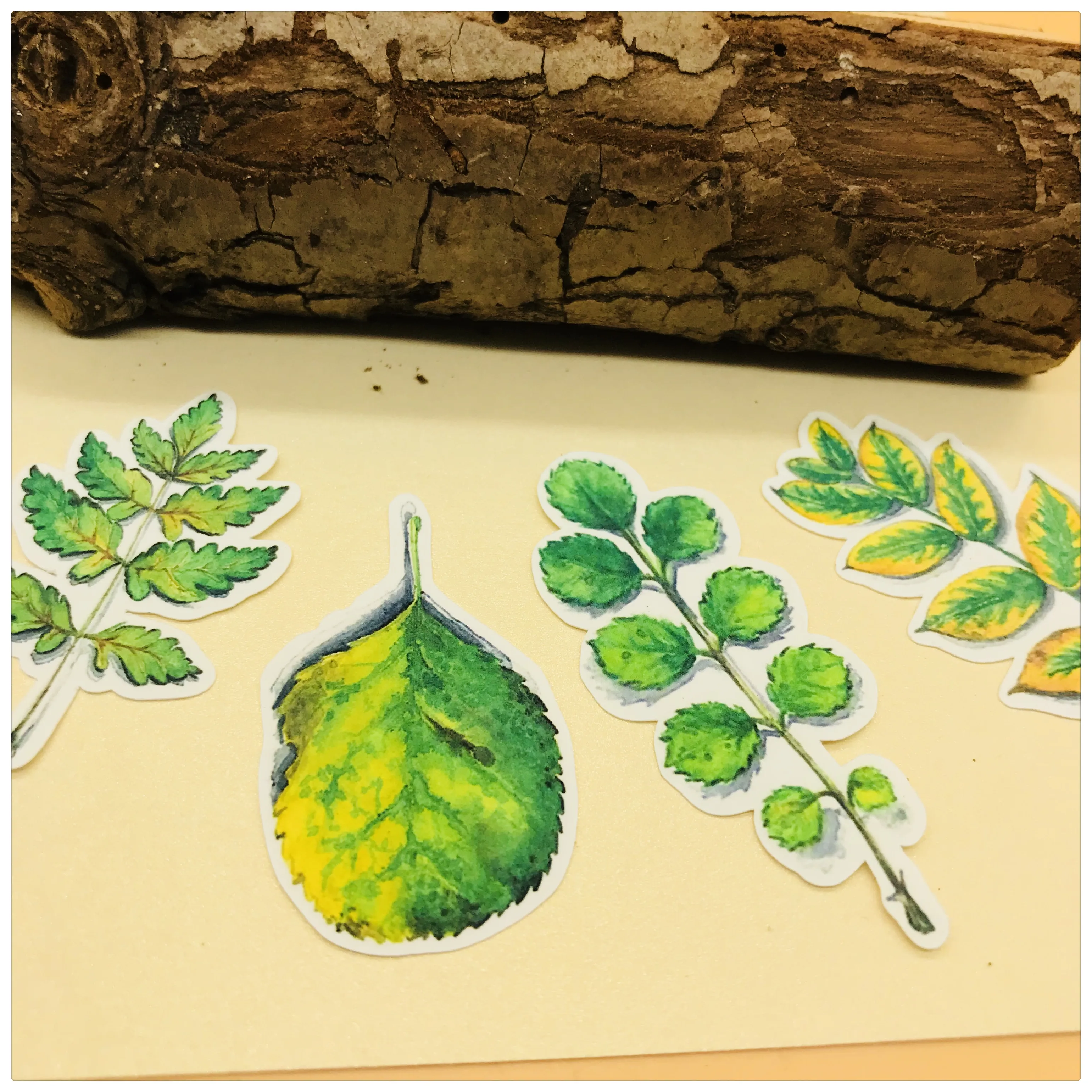 34 шт. руководство стикеров лист Справочник осенними листьями наклейки альбом