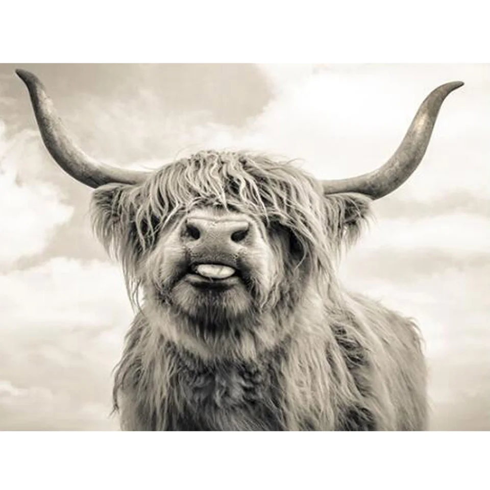 

5D алмазная живопись «сделай сам», вышивка, вышивка крестиком Highland Cow, мозаика стразы, картина, домашний декор, рукоделие, подарки ручной рабо...