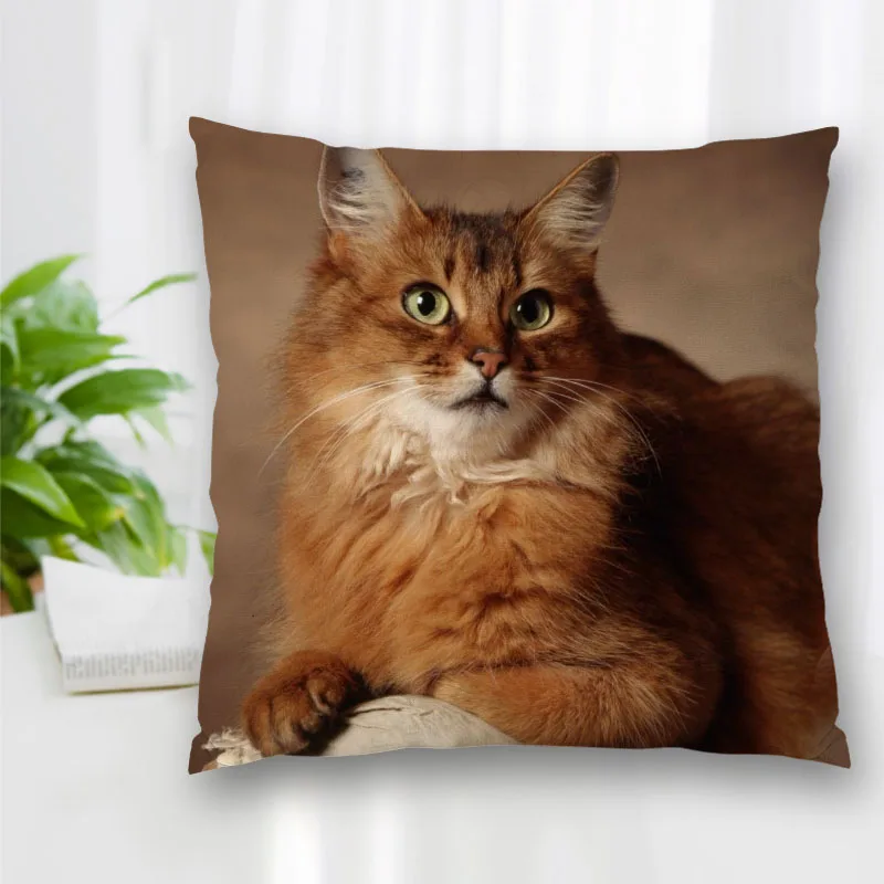 

Hot Sale Custom Decorative Pillowcase Cat Square Zippered Pillow Cover Best Nice Gift 20X20cm 35X35cm 40x40cm