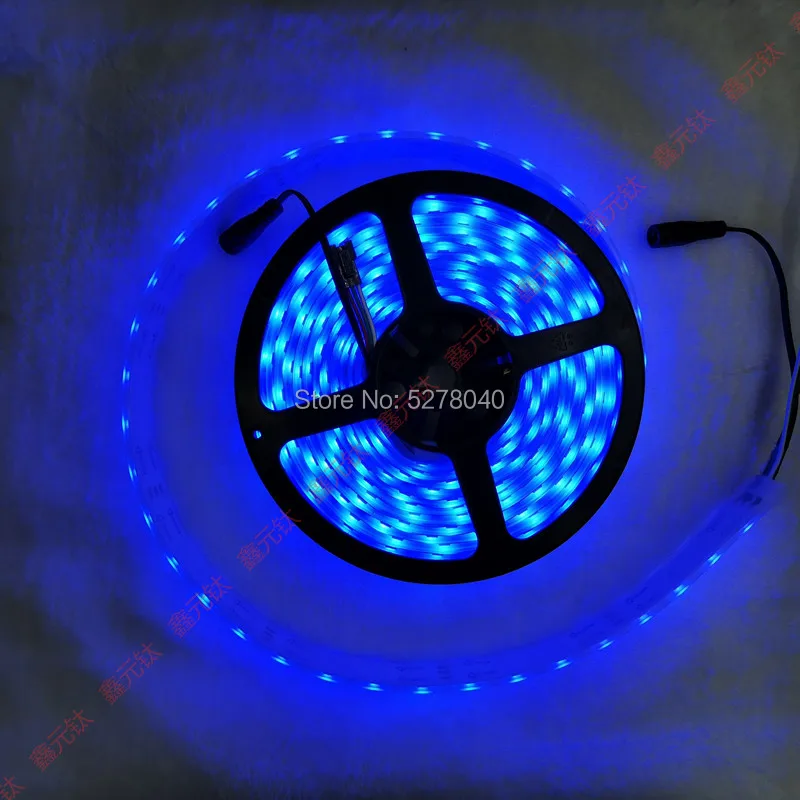 저렴한 12V Led 스트립 RGB 144led 5 미터 매직 랜턴 기사 케이싱, 단색 멀티 컬러 풀 컬러 변색 그라데이션