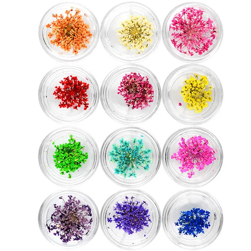 Высушенный цветок для ногтей 1 Набор японские растения сушеные цветы 12 цветов в