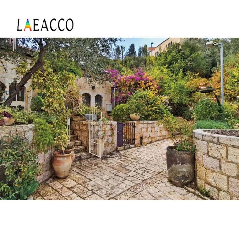 Laeacco Виниловый фон для фотографии Сельский Старый город цветы в горшке зеленая