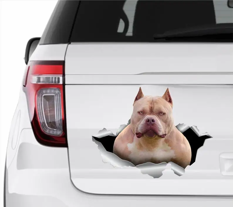 

Auto stickers Pitbull Car sticker American Pitbull Dog sticker American dog Pitbull car sticker Dog auto decal Window
