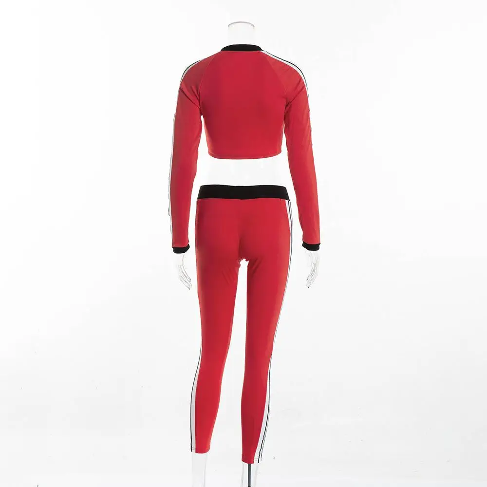 

Spring Autumn Long Sleeve Sportswear Sweat Suits 2020