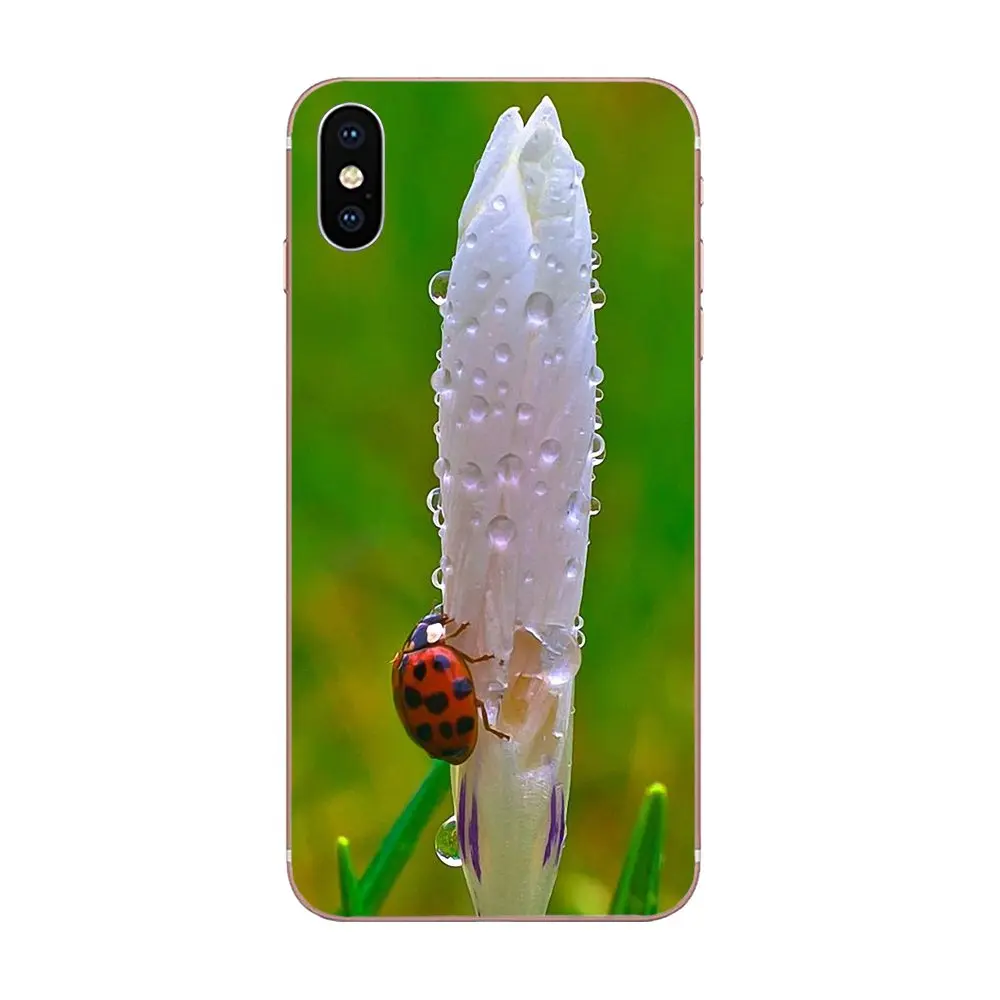 Стильные божьи коровки для Xiaomi Redmi Mi 4 7A 9T K20 CC9 CC9e Note 7 9 Y3 SE Pro Prime Go Play мягкие чехлы