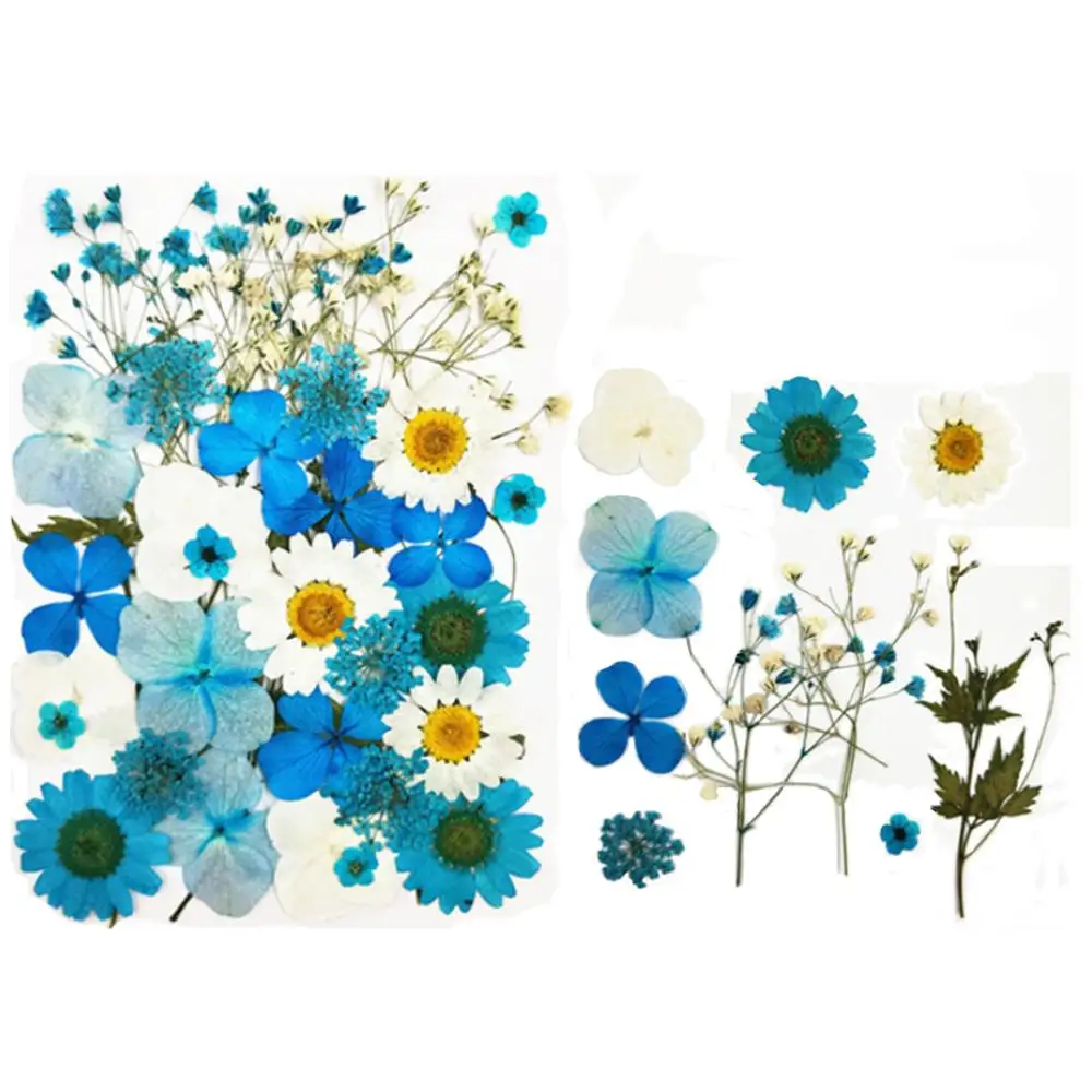 Искусственные цветы натуральные сухие консервированные растения для