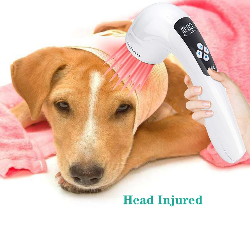 Ветеринарная холодная лазерная физиотерапия для домашних животных зуда кожи