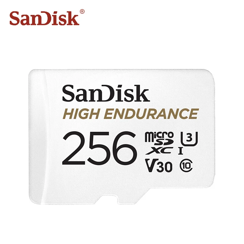 256 ГБ SanDisk карта вождения 32 Гб 64 Гб 128 ГБ 256 ГБ высокая выносливость Micro SD карта C10 V30 карта памяти TF карты видео мониторинг - Емкость: 256 ГБ