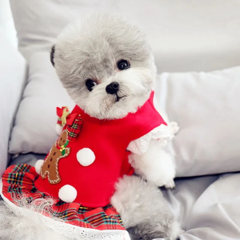 Красный школьный стиль йоркширский терьер одежда осень-зима Рождественский