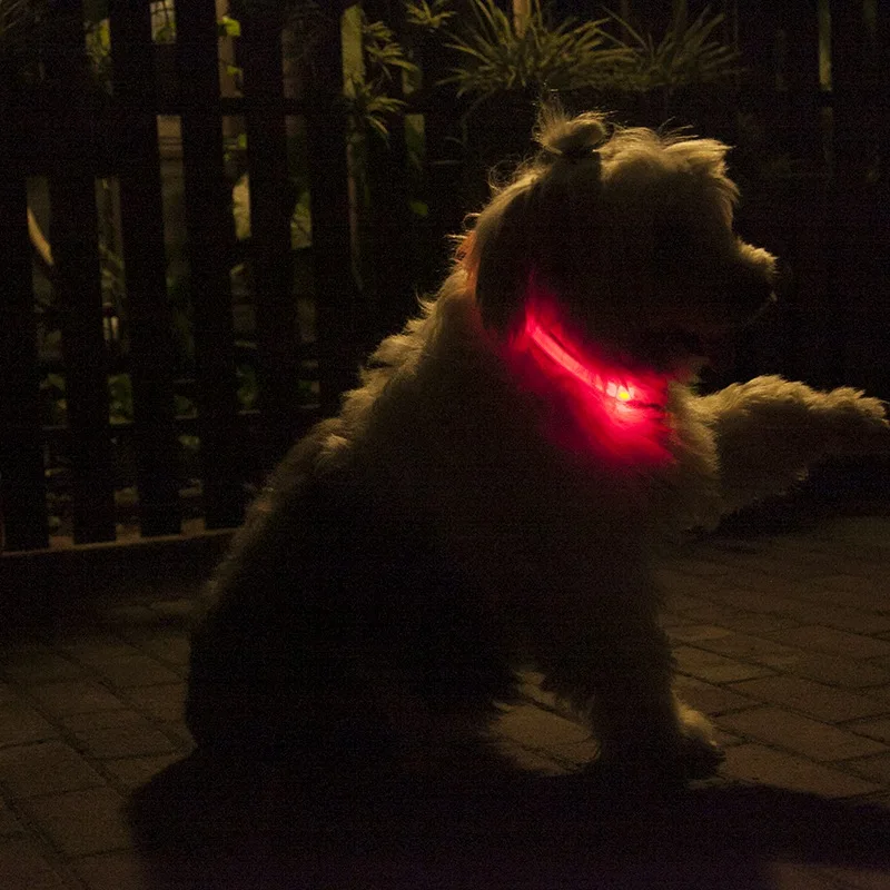 

Pet Dog Adjustable Led Glowing Collar Anti-Lost Avoid Car Accident For Dog Cat Lighting Pet Collar Safety Night Walking Supplies