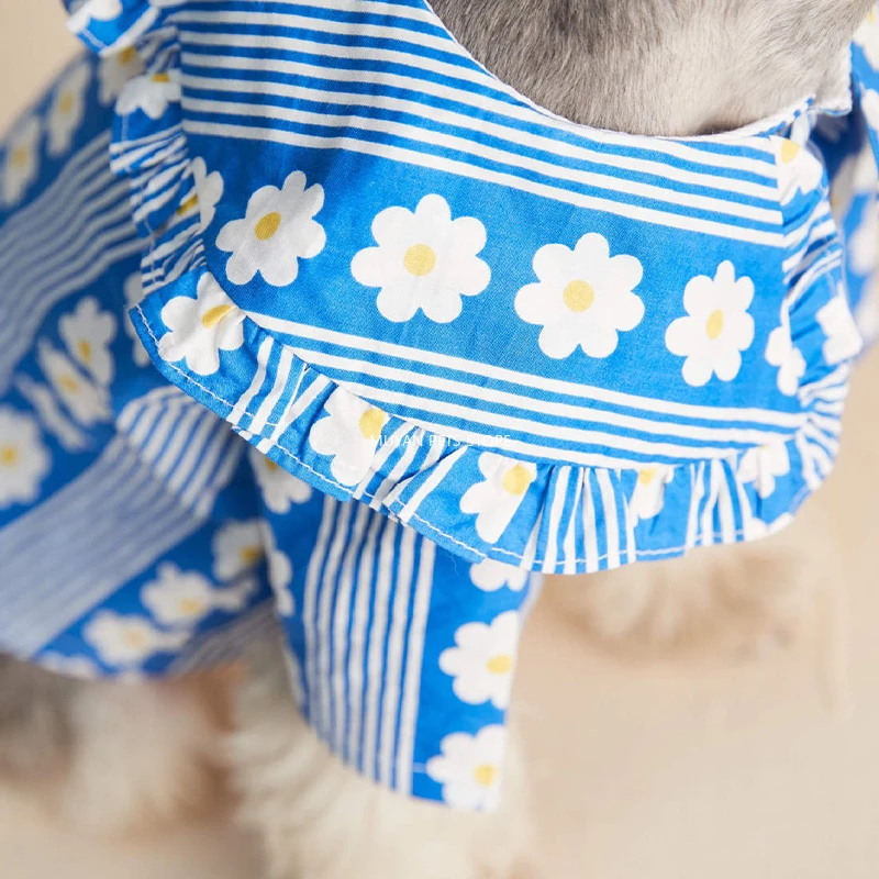 

Pet Products