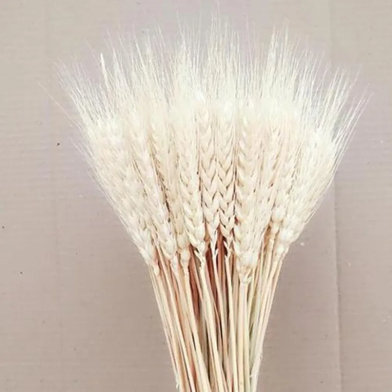 Dried Wheat Ear Bunches Flower Bouquets Natural Raw Color DIY Wedding Party Home Decoration | Дом и сад