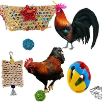 5 piece combination toy pet chicken toy set brushed bell ball set relief bird toy