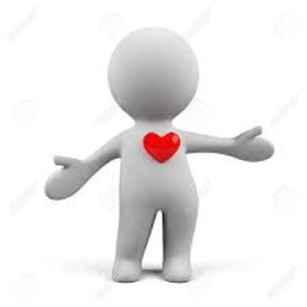 

Custom fees/Additional fees/Purchase fees/Replacement logistics-3