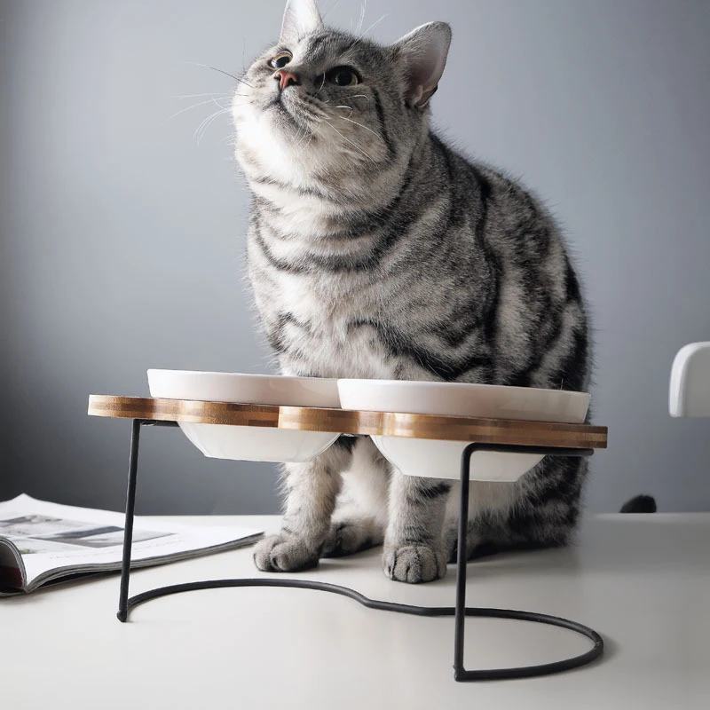 Модная Высококачественная миска для домашних животных с различными мультяшными