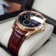 Reef Tiger/RT Designer Men's Watch with World Time Date Rose Gold Automatic Watch RGA1951 Other Image