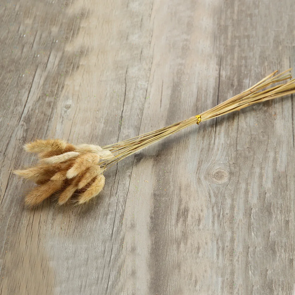 50pcs dried natural flower bouquets raw color Lagurus ovatus bouquets&ampUraria picta&ampraw rabbit tail grass bunches | Дом и сад