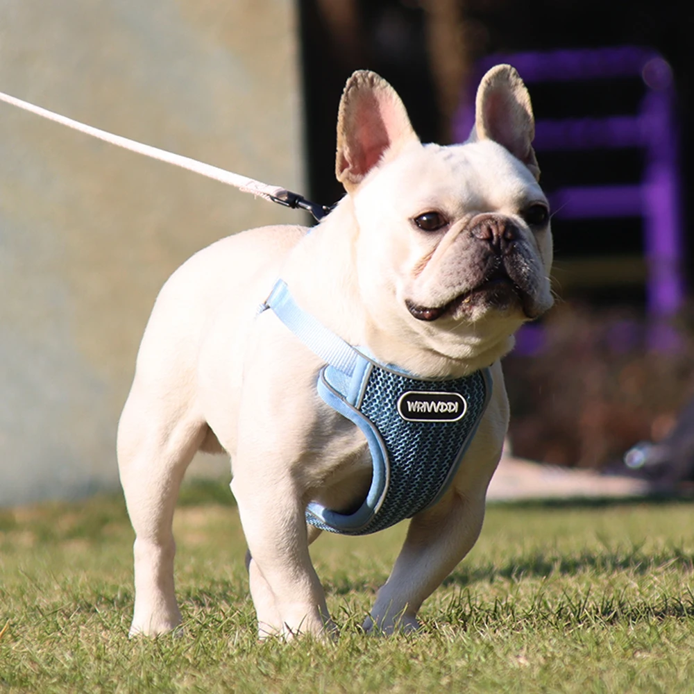 

Dog Harness No Pull Adjustable Reflective Belt Pet Leash For Puppy Medium Dogs