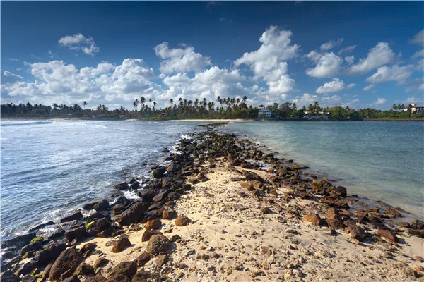 

ZHISUXI Vinyl Custom Scenery Photography Backdrops Props Beach theme Photo Studio Background F20020-91