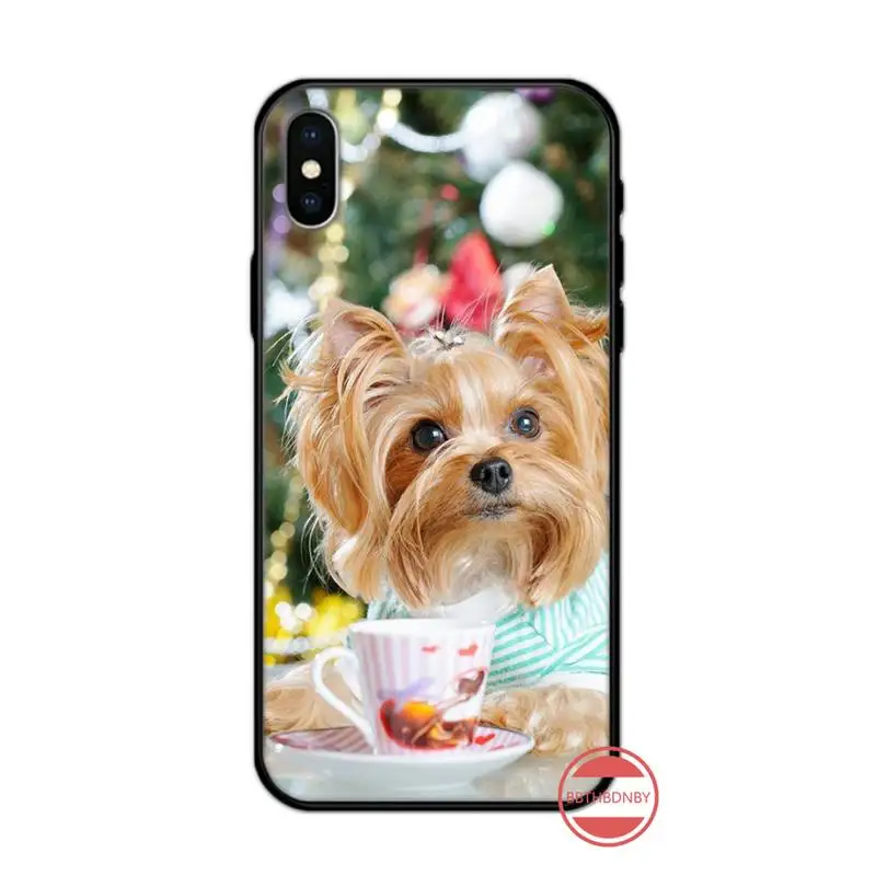 

yorkshire terrier lovely dog Phone Case for iPhone 11 12 mini pro XS MAX 8 7 6 6S Plus X 5S SE 2020 XR luxury shell cover funda