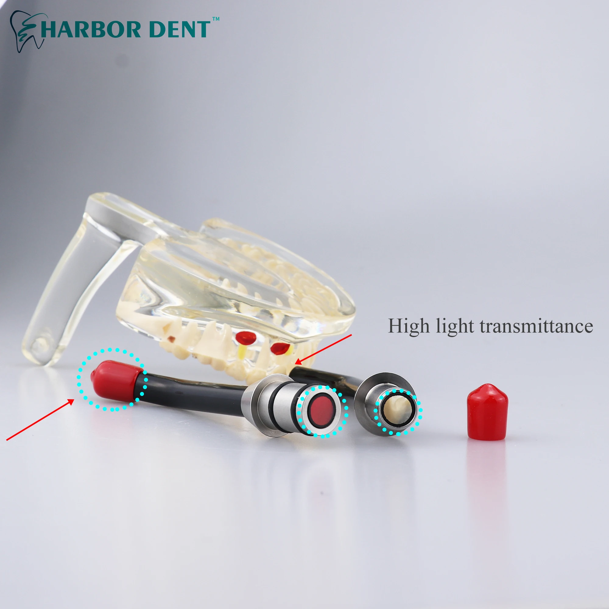 Полимизировать или полемизировать. Полимизировать. Самостоятельность домашнего задания. Структура орфографического словаря. Полимизировать.