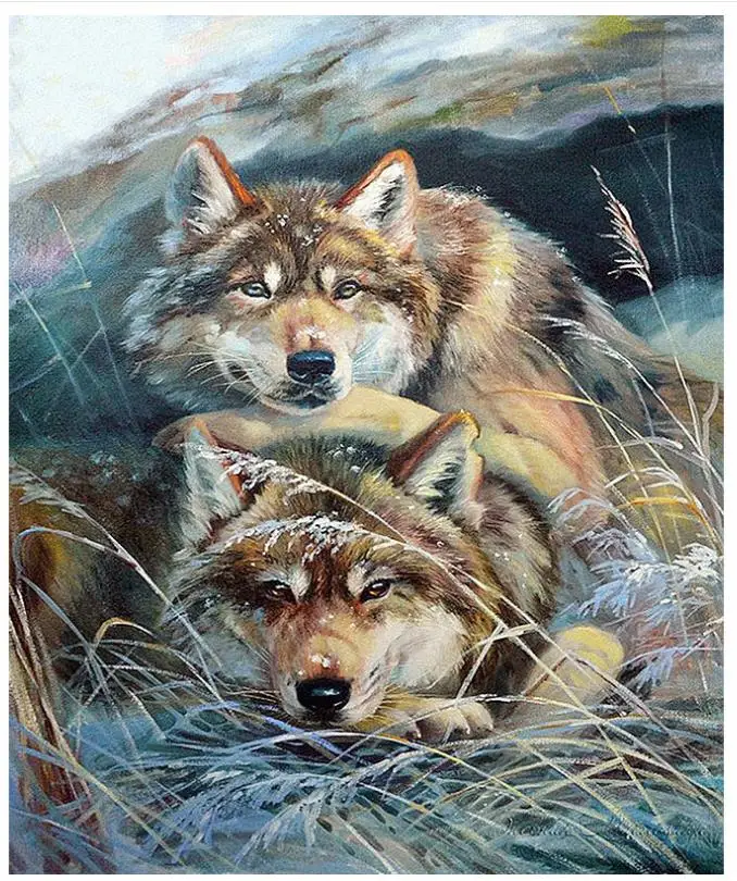 Алмазная вышивка с животными семьи волков алмазная живопись мозаика разразразы