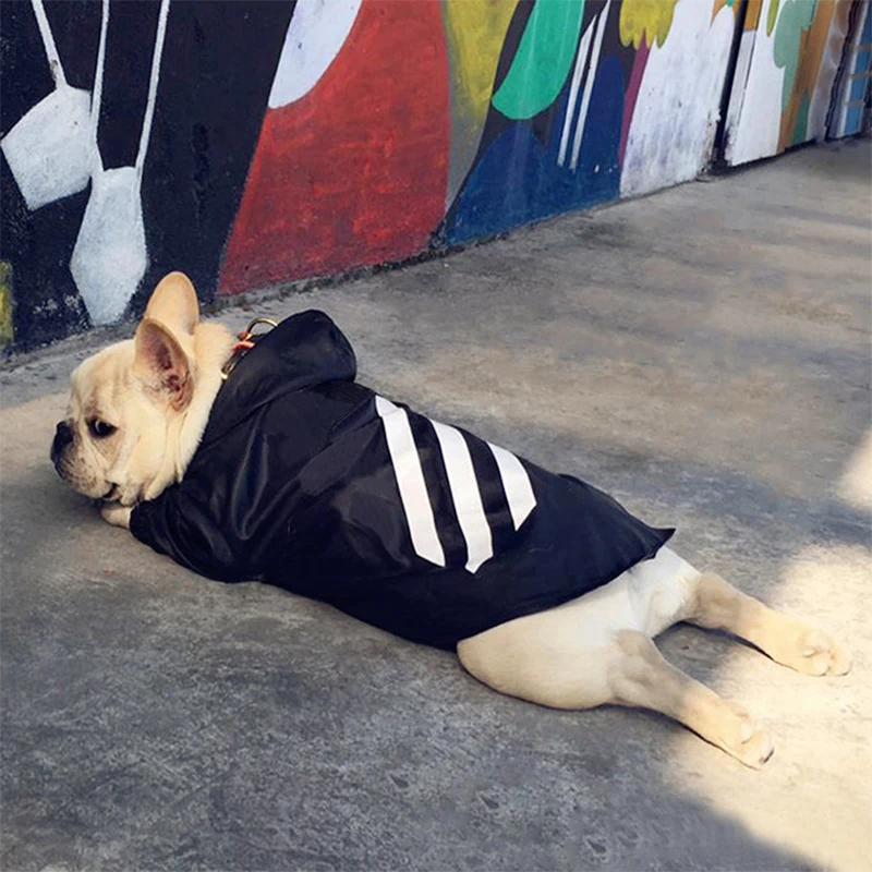 Толстовки для маленьких собак дождевик чихуахуа французского бульдога ветровка