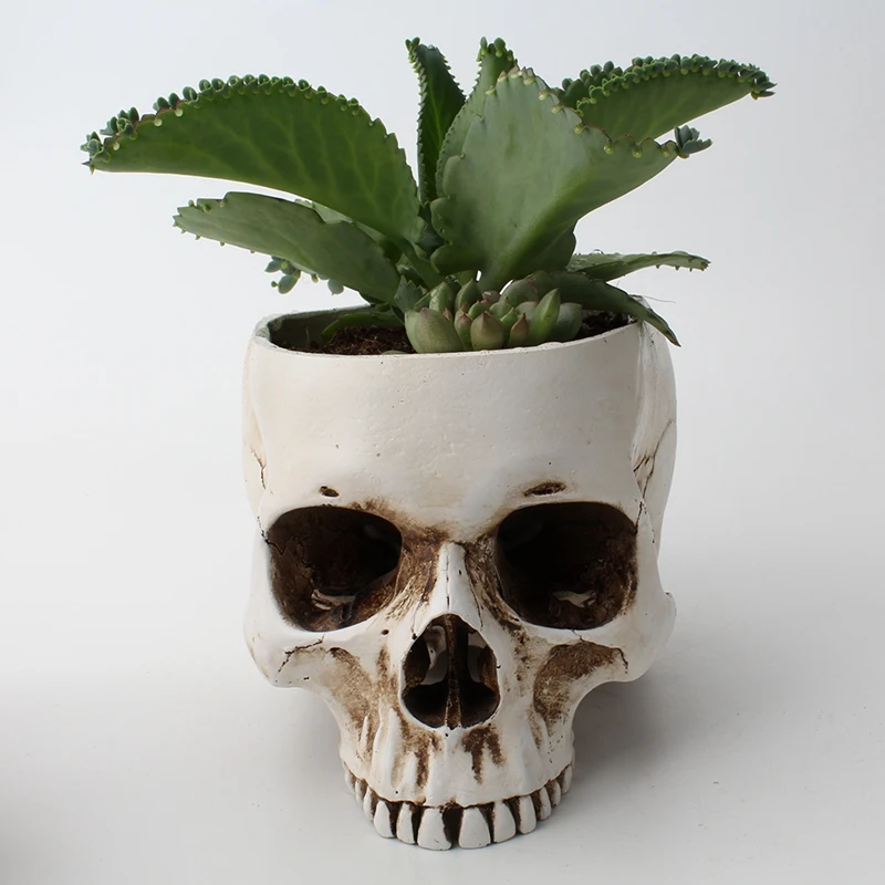 Skull Flower Pot Artware Resin Storage Box For Snack Ashtray Flowerpot Fruit Tray Tank Home Sculpture Statue Decoration | Дом и сад