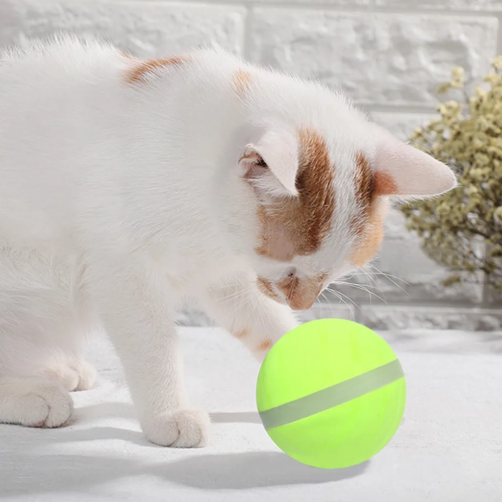 Милые кошачьи игрушки злой мяч новый дизайн интересные собака игрушка