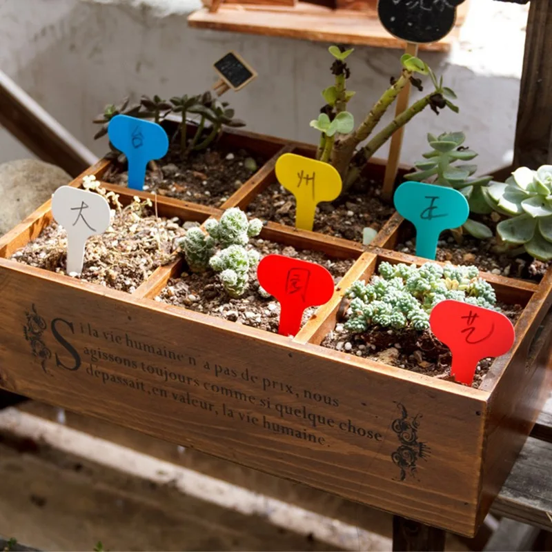 100 шт. растений метки Т образным ремешком отметки завода красочные