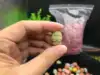 Изображение товара 5