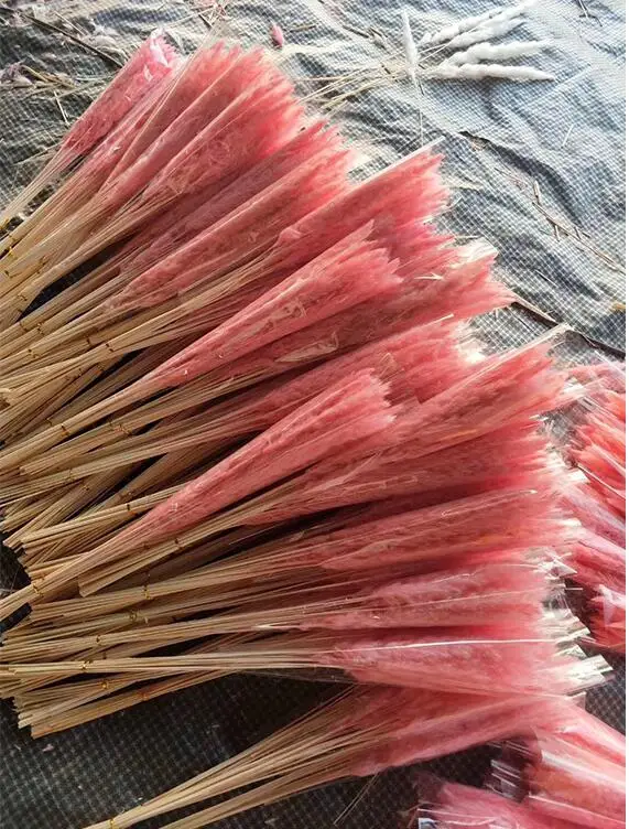 

15PCS Natural Dried Small Pampas Grass Phragmites Wedding Flower Bunch 40 To 68 Cm Tall for Hotel Home Decor