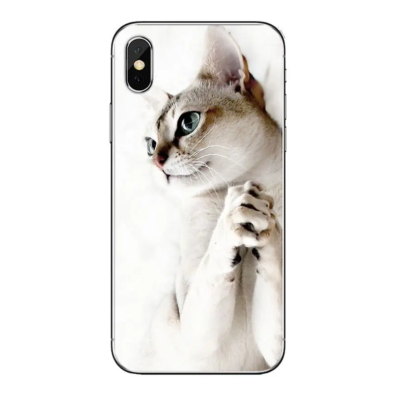 Красивая молитва котята коты печать для Xiao mi 6 A1 Max x 2 5X 6X красный Note 5 5A 4X 4A A4 4 3 Plus Pro