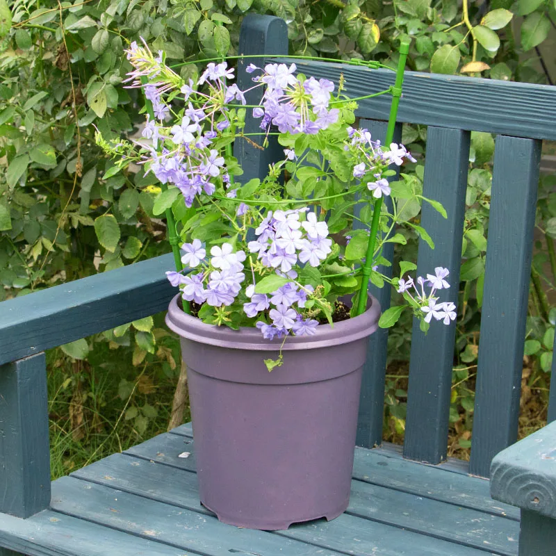 

Climbing Plant Support Cages Flowers Stand with 3 Adjustable Rings Sturdy for Garden SAL99