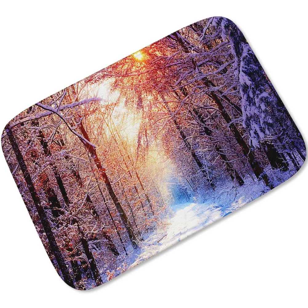 Zeegle 3D Printed Doormat Flannel Water Absorbant Door Mat Home Decoration Non-slip Floor Kitchen Carpet Washable Rug | Дом и сад