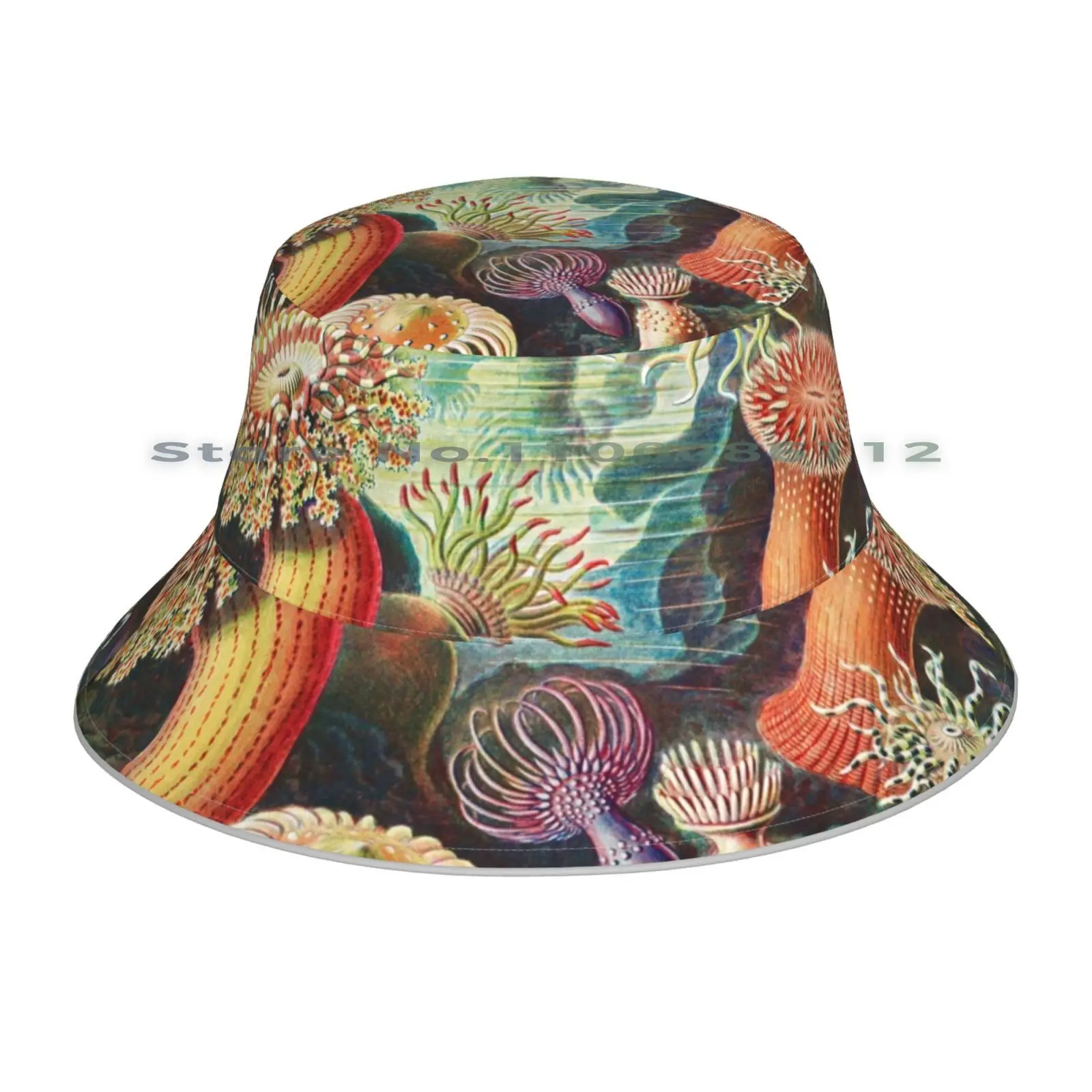 Морской анемон научная иллюстрация вязаная шапка морской морская биология