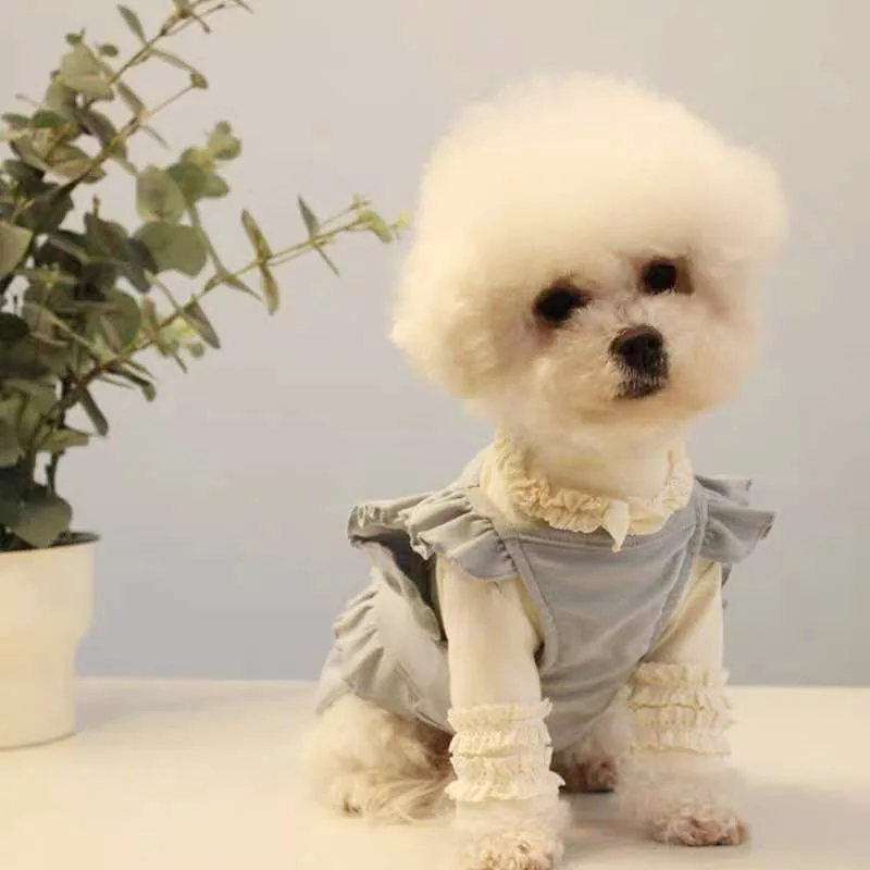 

Cute Small Dog Dress Summer Pet Skirt Princess Costume Doggie Yorkshire Pomeranian Poodle Schnauzer Pug Dog Clothes Pet Clothing