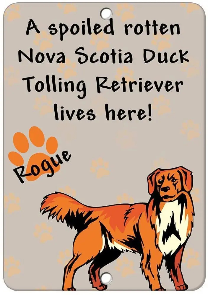 

Tin Metal Sign Spoiled Rotten Nova Scotia Duck Tolling Retriever Dog Lives Here Metal Sign