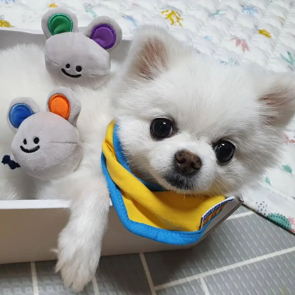 Лидер продаж Корейская мышь с сыром Ins игрушки для собак пищащие милые хлопковые